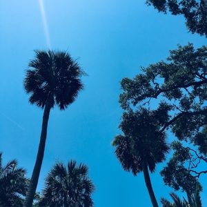 Meet your Posher, Ally